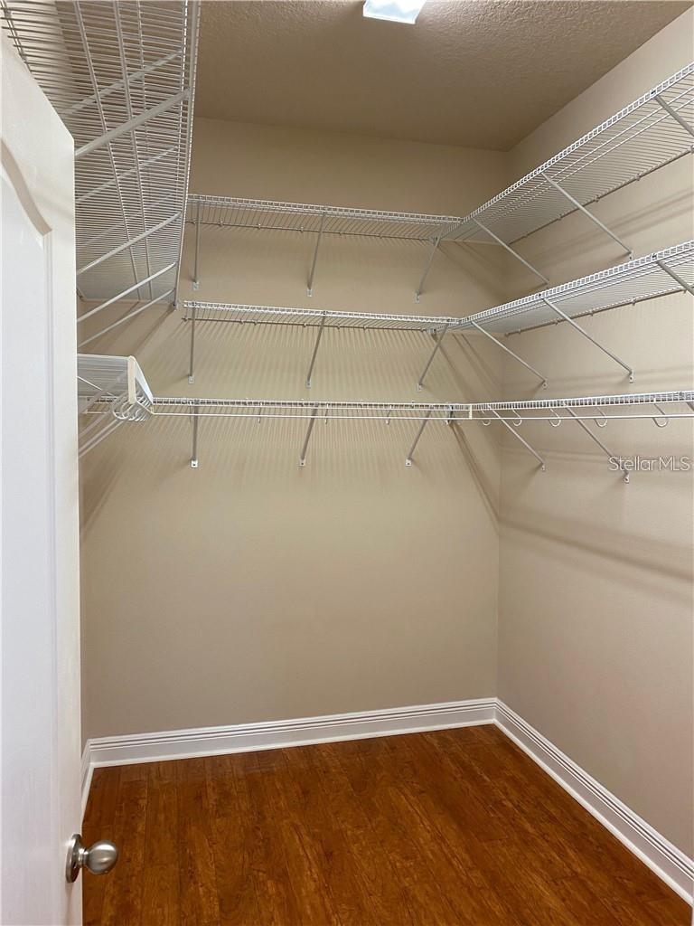 11333 QUIET FOREST DR, TAMPA, FL, 33635