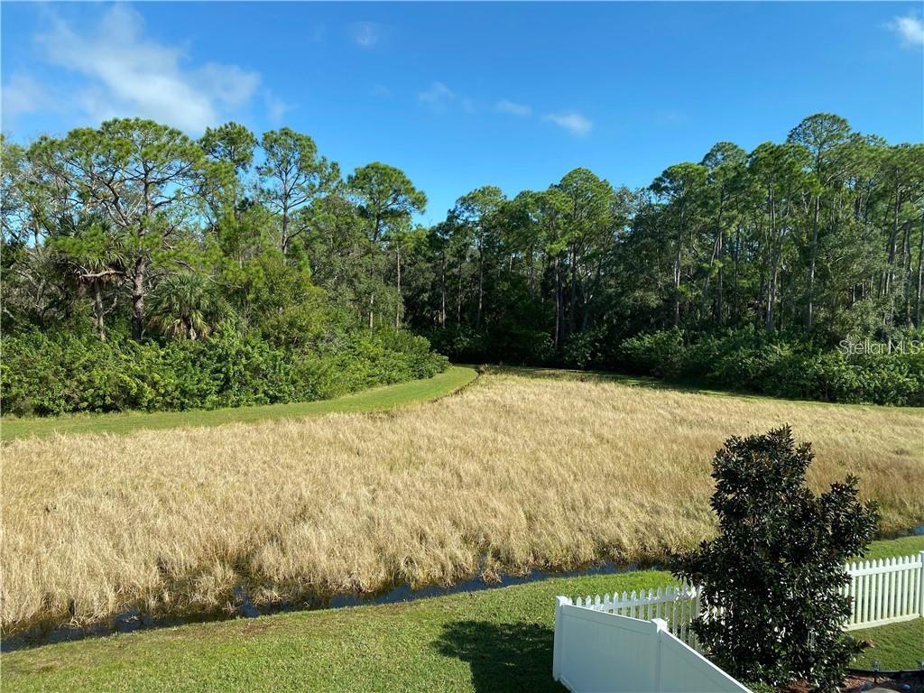 11333 QUIET FOREST DR, TAMPA, FL, 33635