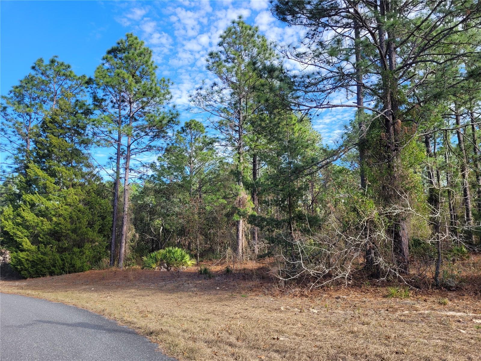 5677 N CALICO DR, BEVERLY HILLS, FL, 34465