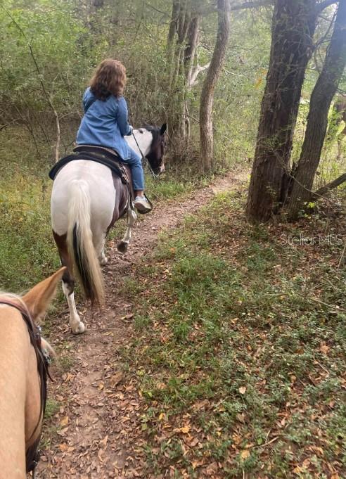 5677 N CALICO DR, BEVERLY HILLS, FL, 34465