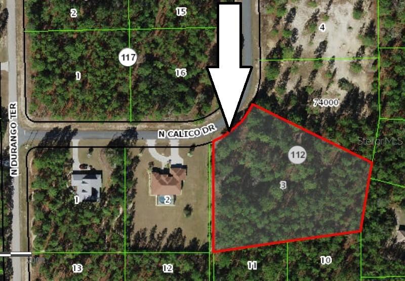 5677 N CALICO DR, BEVERLY HILLS, FL, 34465