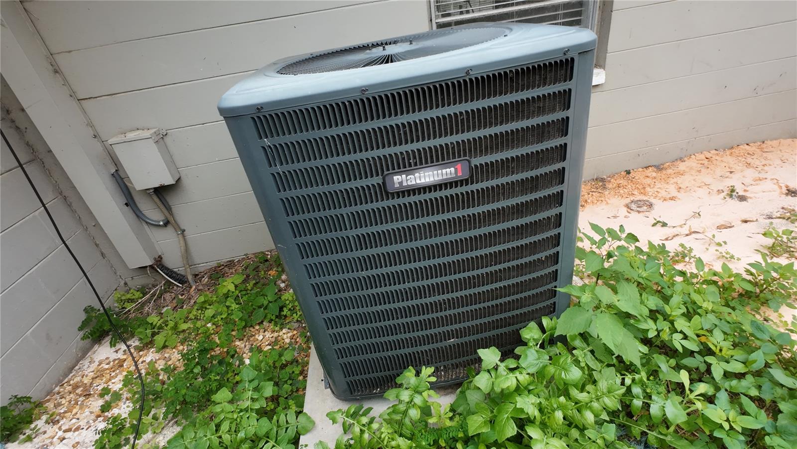 36845 VIRGINIA AVE, DADE CITY, FL, 33523