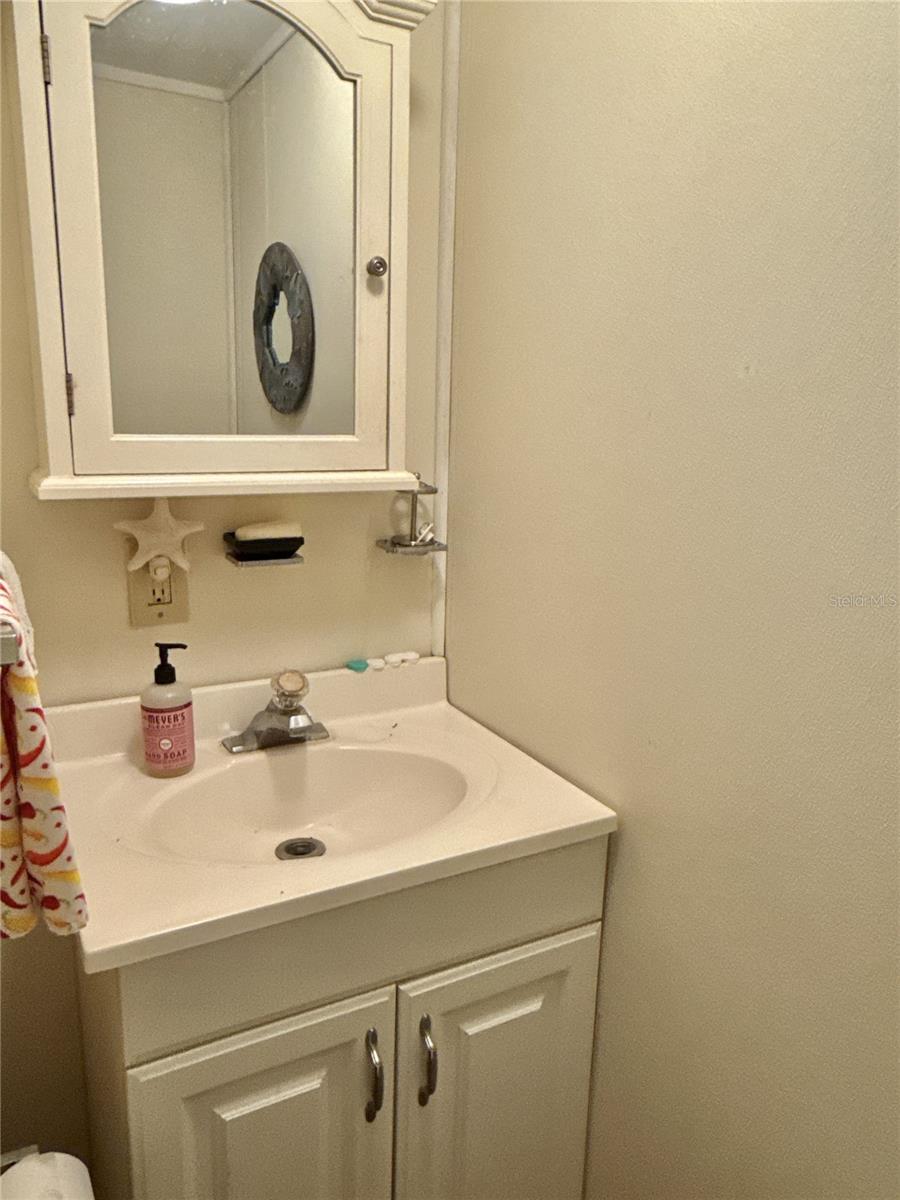 436 MOUNT OAK AVE NE #747, ST PETERSBURG, FL, 33702