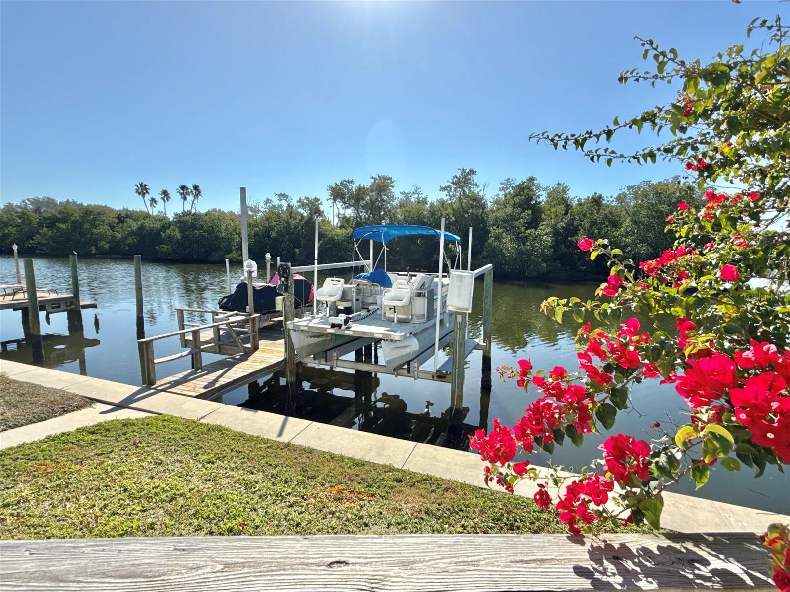 436 MOUNT OAK AVE NE #747, ST PETERSBURG, FL, 33702