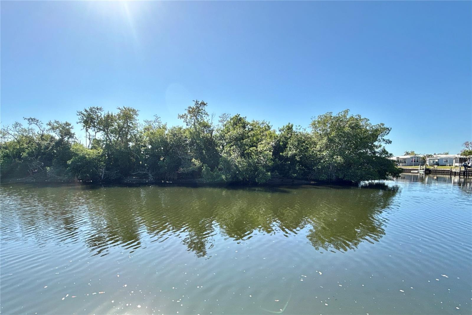 436 MOUNT OAK AVE NE #747, ST PETERSBURG, FL, 33702