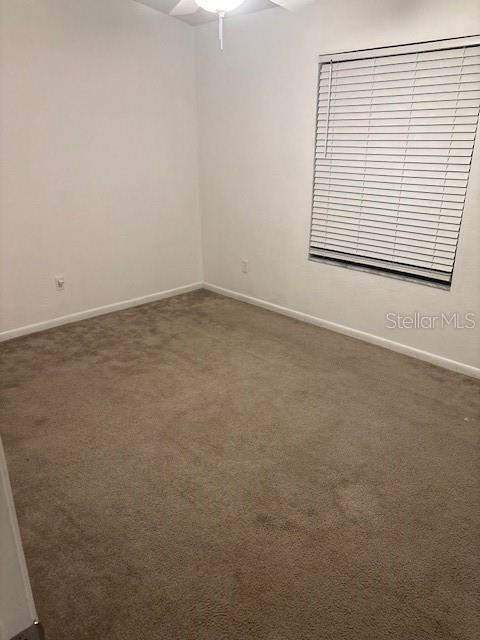 4343 NW 61ST TER, GAINESVILLE, FL, 32606