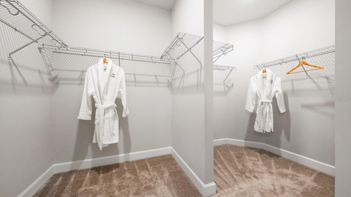 3910 IMMACOLATA WAY, WESLEY CHAPEL, FL, 33543