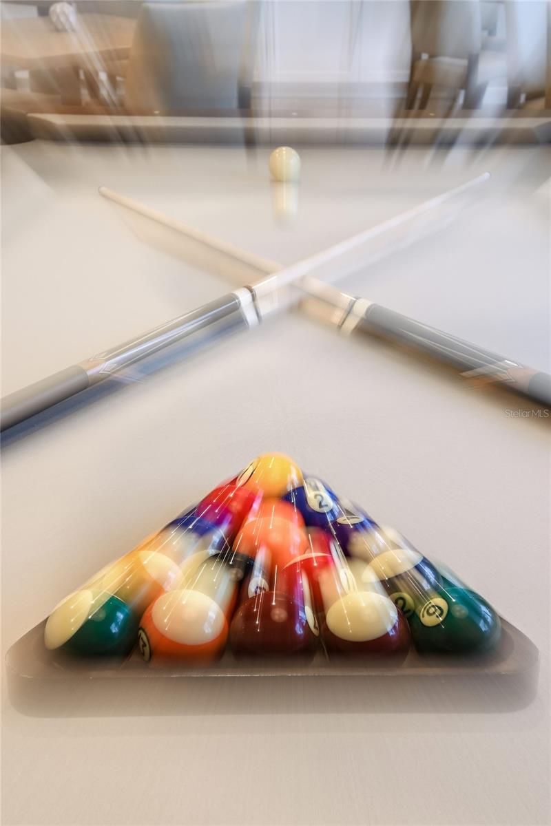 3910 IMMACOLATA WAY, WESLEY CHAPEL, FL, 33543