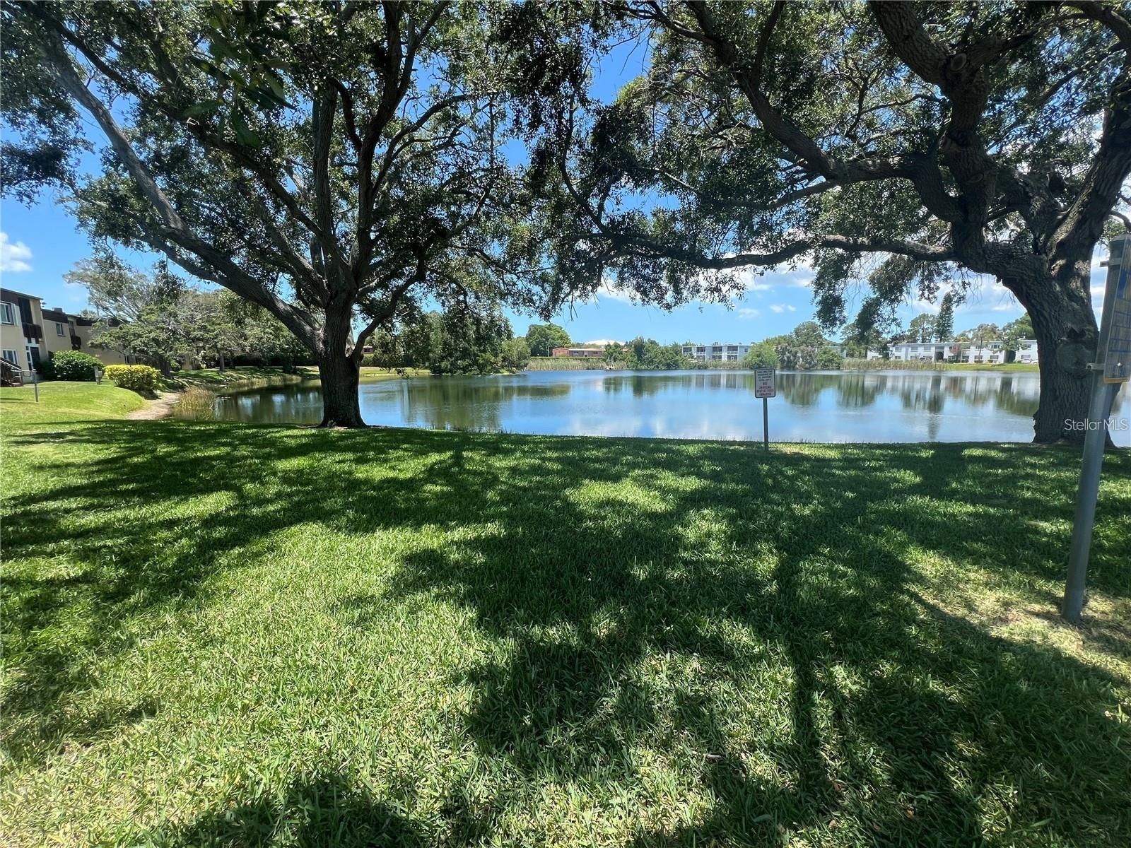 631 N KEENE RD #S8, CLEARWATER, FL, 33755