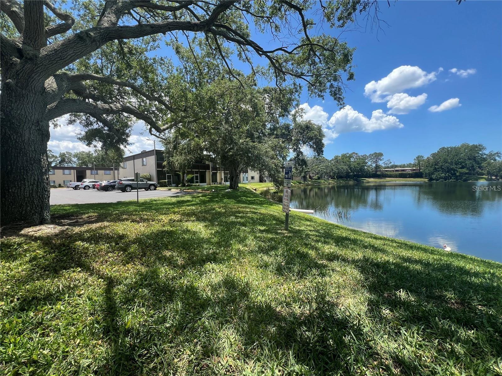 631 N KEENE RD #S8, CLEARWATER, FL, 33755