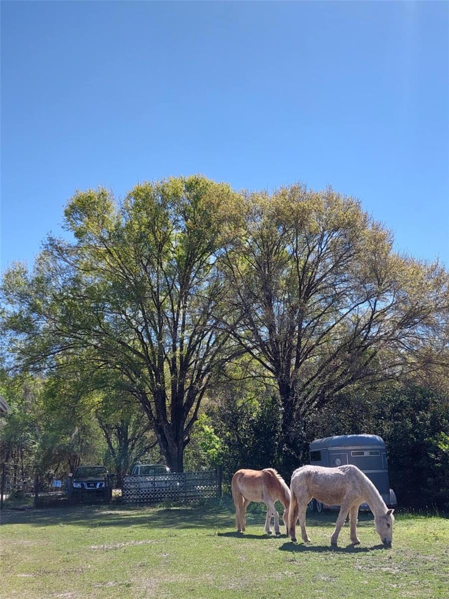 14016 N. HWY 301, THONOTOSASSA, FL, 33592