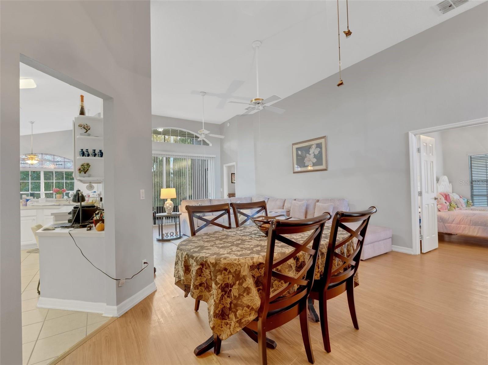 411 RIDGE VIEW DR, DAVENPORT, FL, 33837