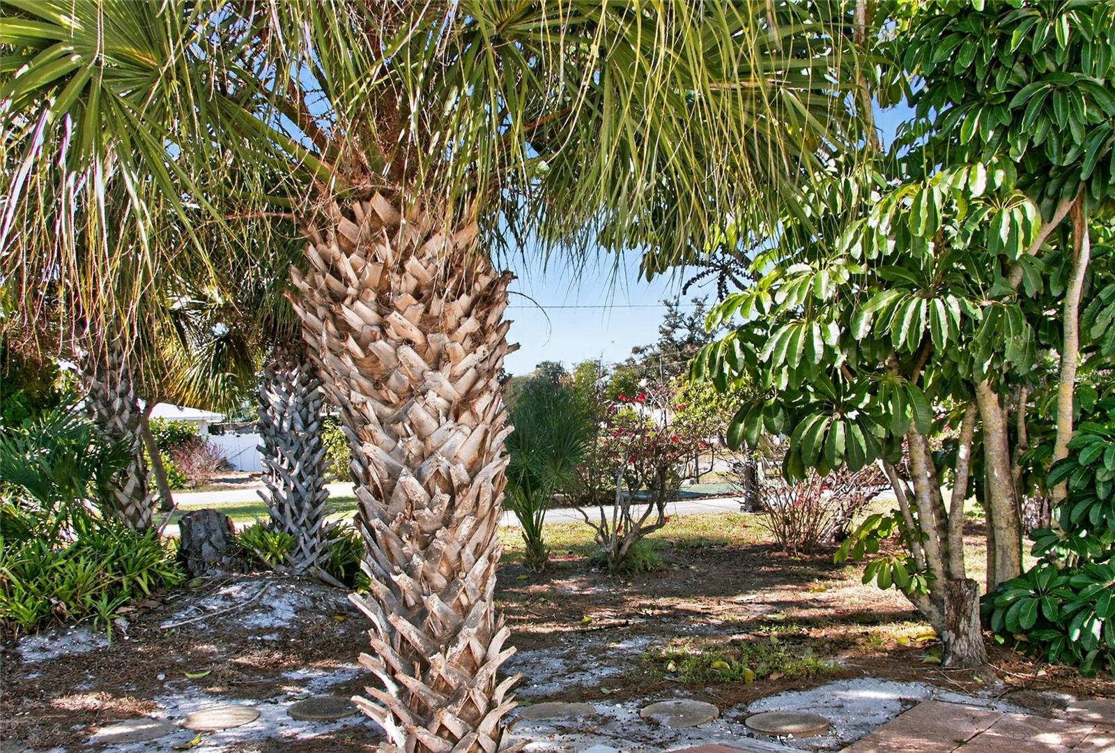 703 S GREEN CIR, VENICE, FL, 34285