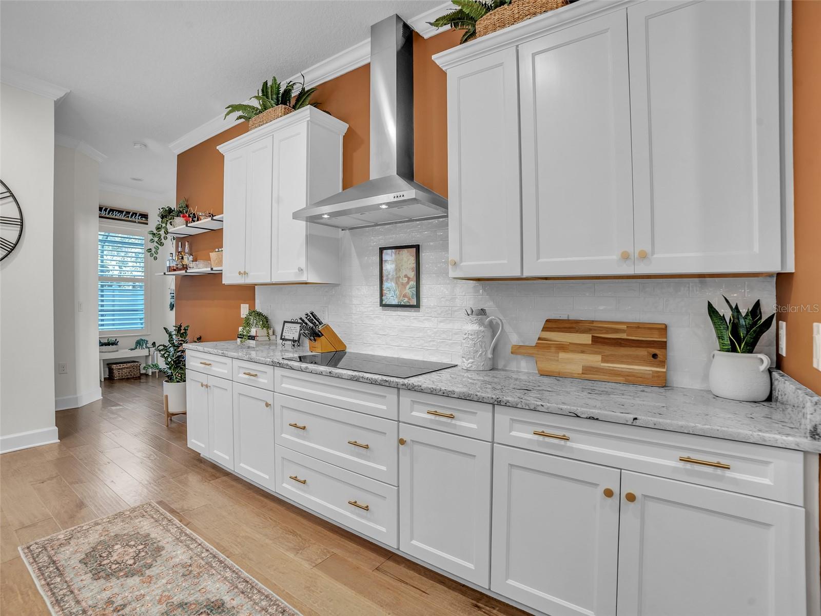 14110 TOMENTOSA AVE, RIVERVIEW, FL, 33569