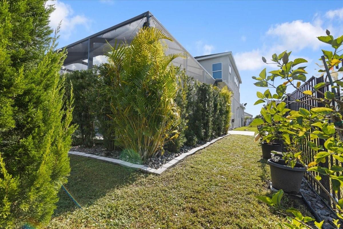 4802 BUTLER NATIONAL DR, WESLEY CHAPEL, FL, 33543