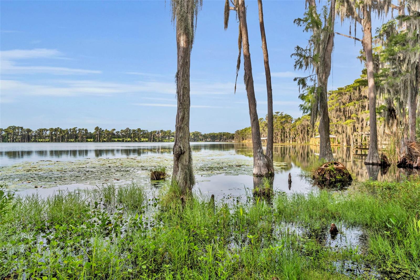 1134 KELSO BLVD, WINDERMERE, FL, 34786