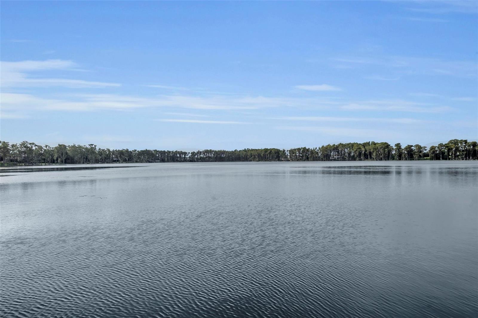 1134 KELSO BLVD, WINDERMERE, FL, 34786