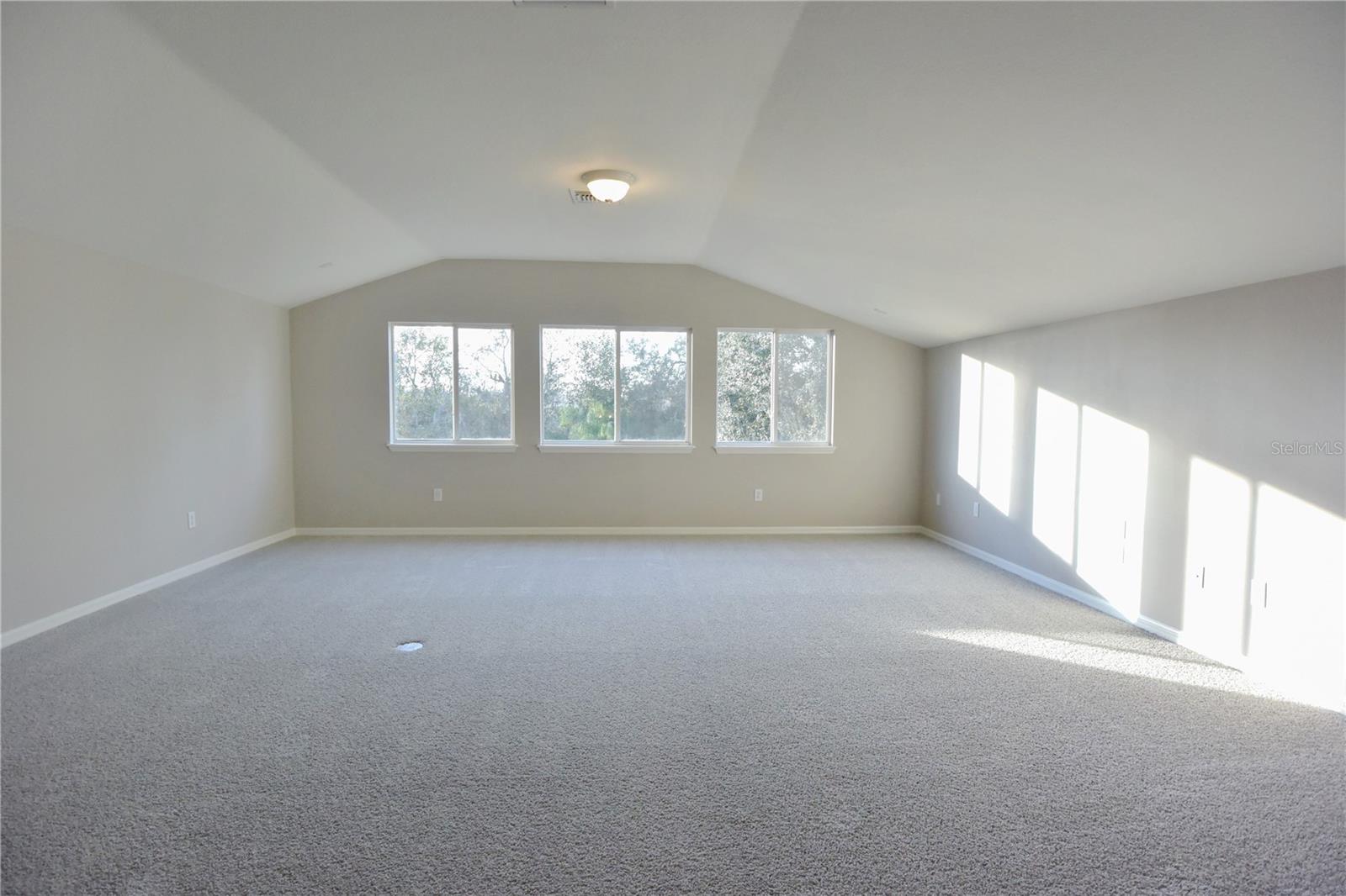 7015 CARDINALWOOD LN, LAND O LAKES, FL, 34637