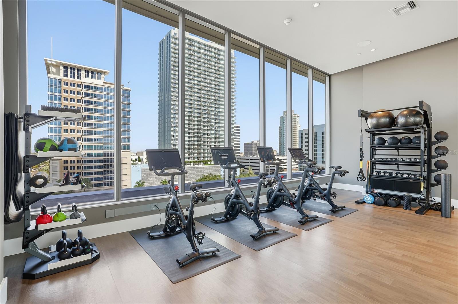 275 1ST AVE S #1207, ST PETERSBURG, FL, 33701