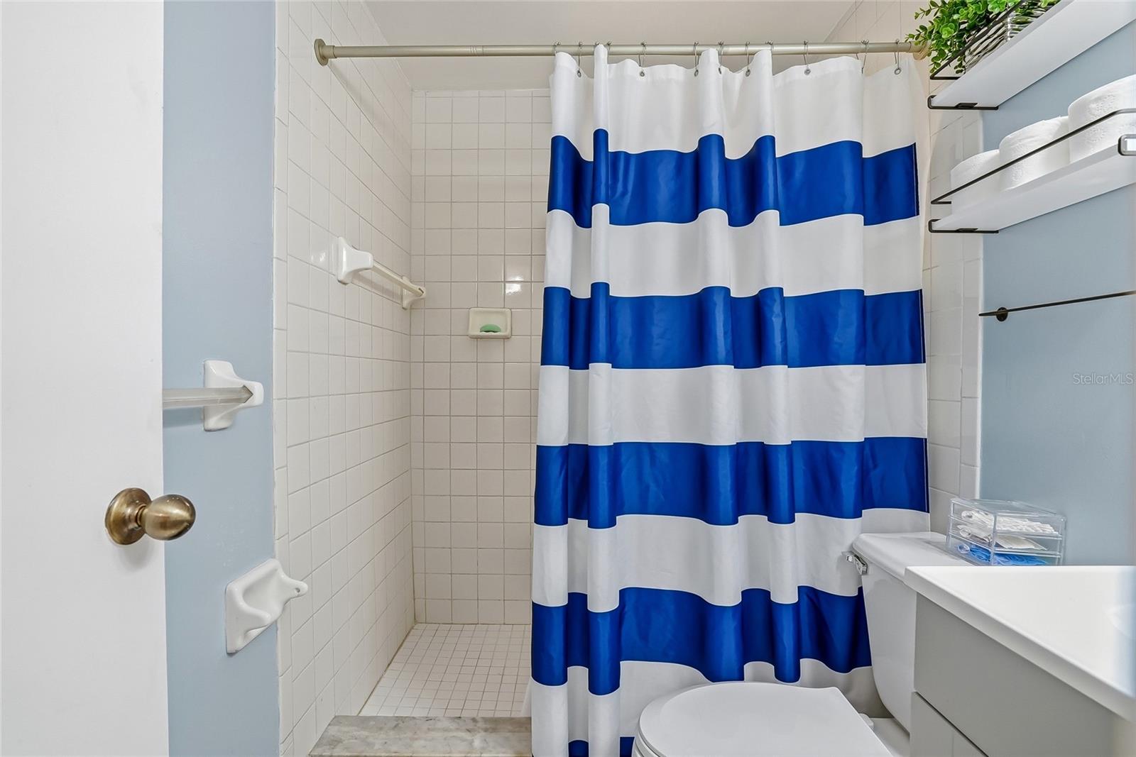 113 W NORTH ST, TAMPA, FL, 33604