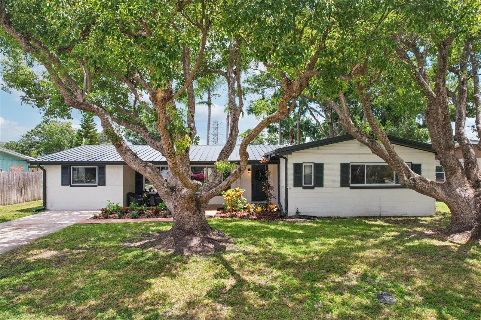 311 SHORE DR E, OLDSMAR, FL, 34677