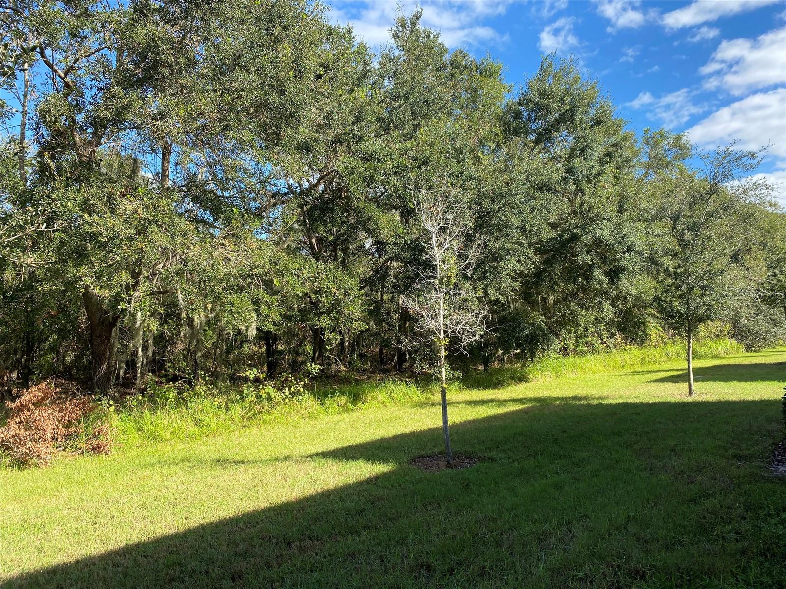 9516 PEMBROOKE PINES DR, RUSKIN, FL, 33573