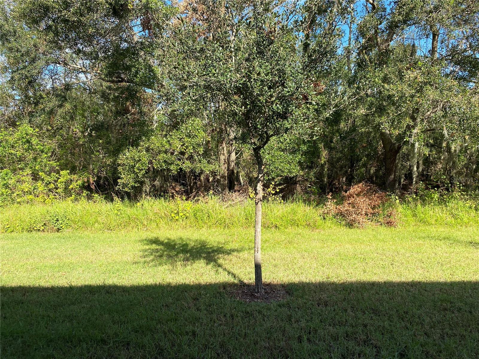 9516 PEMBROOKE PINES DR, RUSKIN, FL, 33573