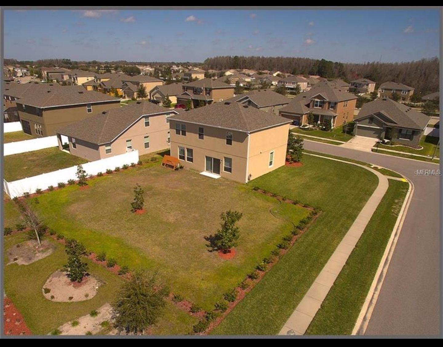 5533 ANGELONIA TER, LAND O LAKES, FL, 34639