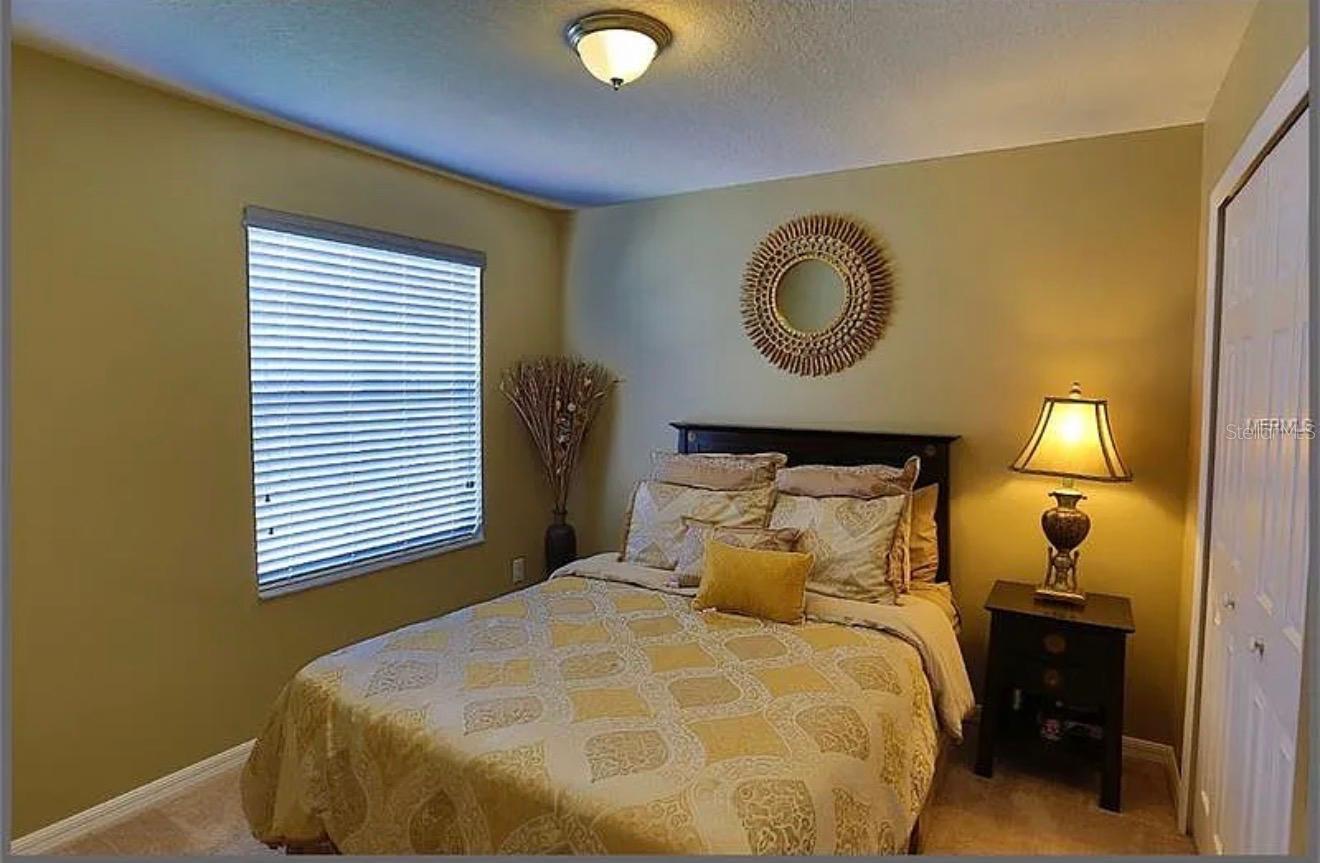 5533 ANGELONIA TER, LAND O LAKES, FL, 34639