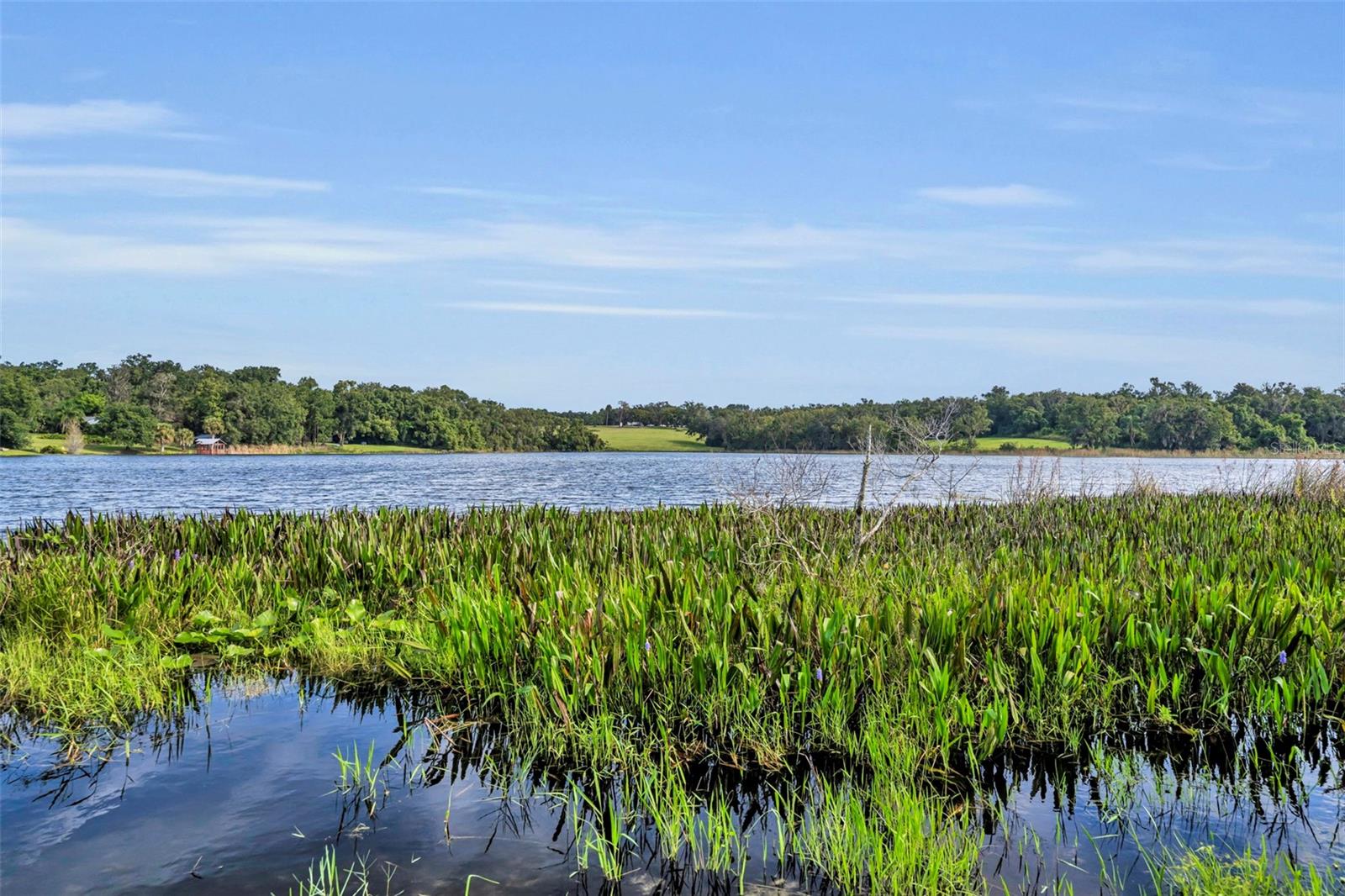 5833 MAGGIORE TRL, ZELLWOOD, FL, 32798