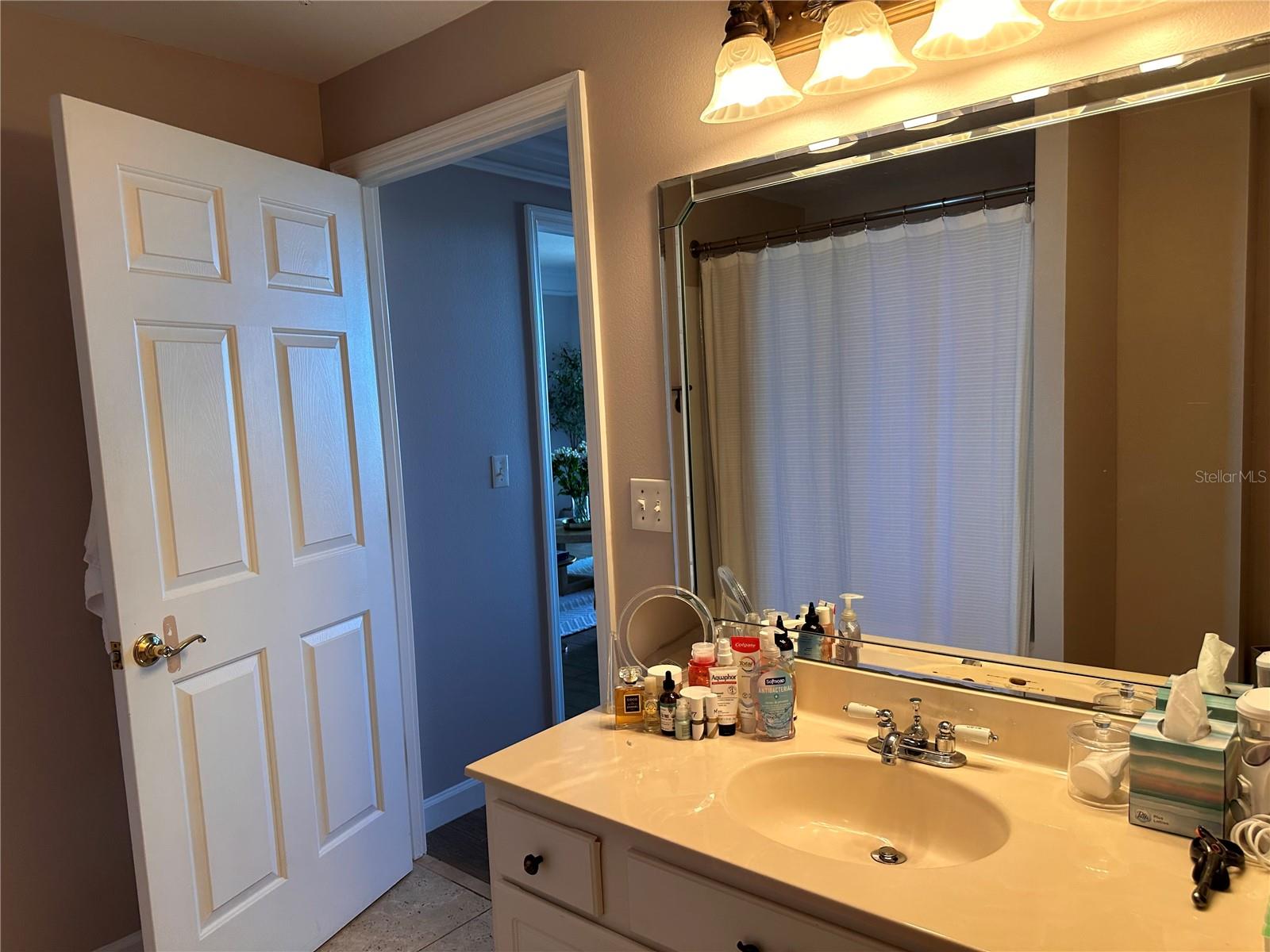 345 BAYSHORE BLVD #1605, TAMPA, FL, 33606