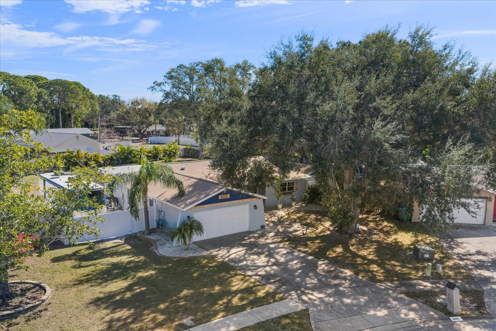 8227 DENISE DR E, SEMINOLE, FL, 33777