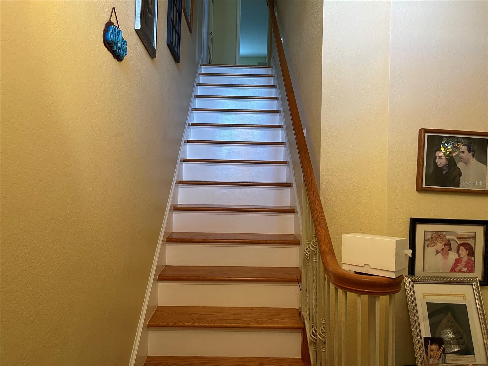 8572 SWEET MAGNOLIA PL, SEMINOLE, FL, 33777