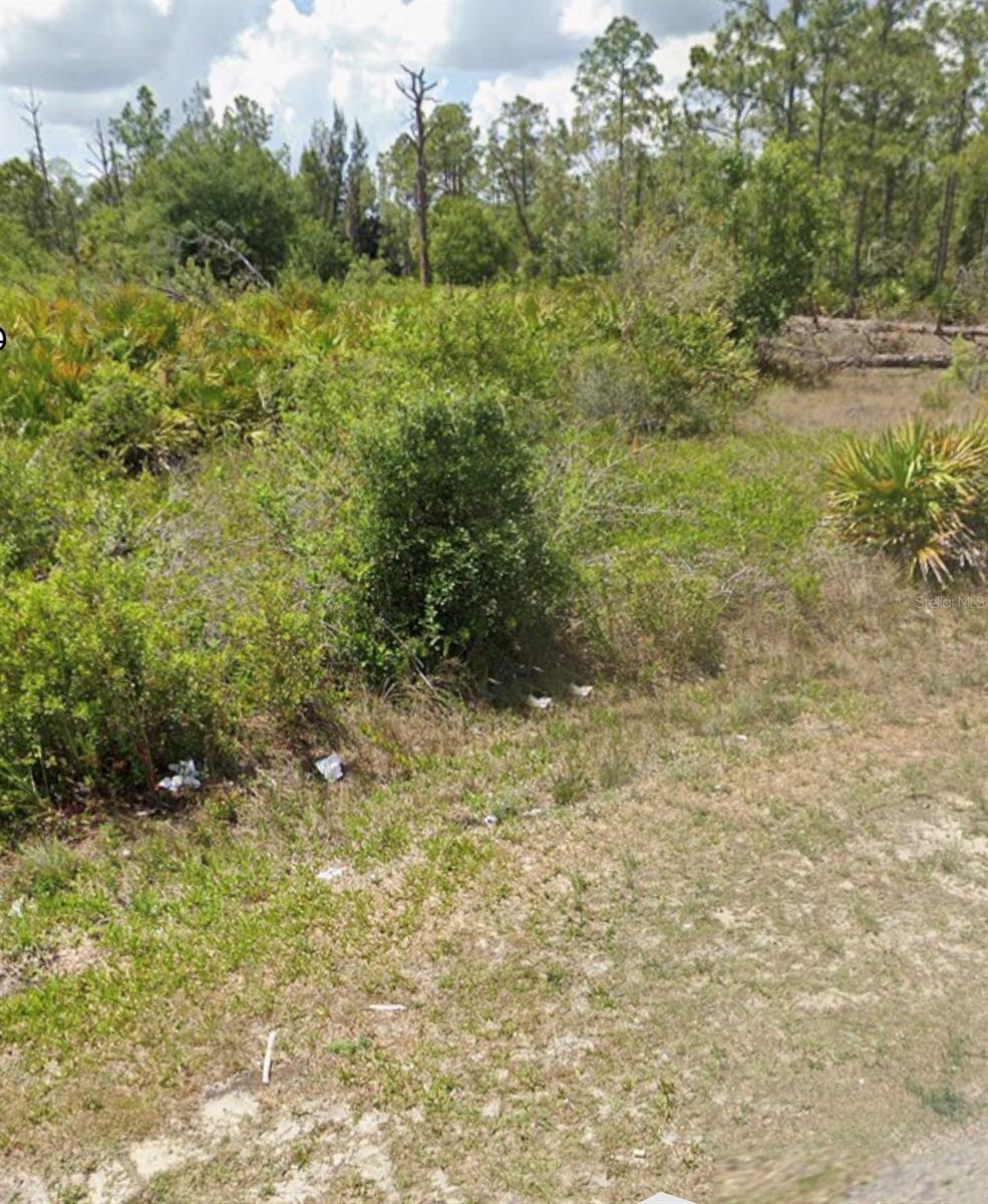 1303 HAMILTON AVE, LEHIGH ACRES, FL, 33972