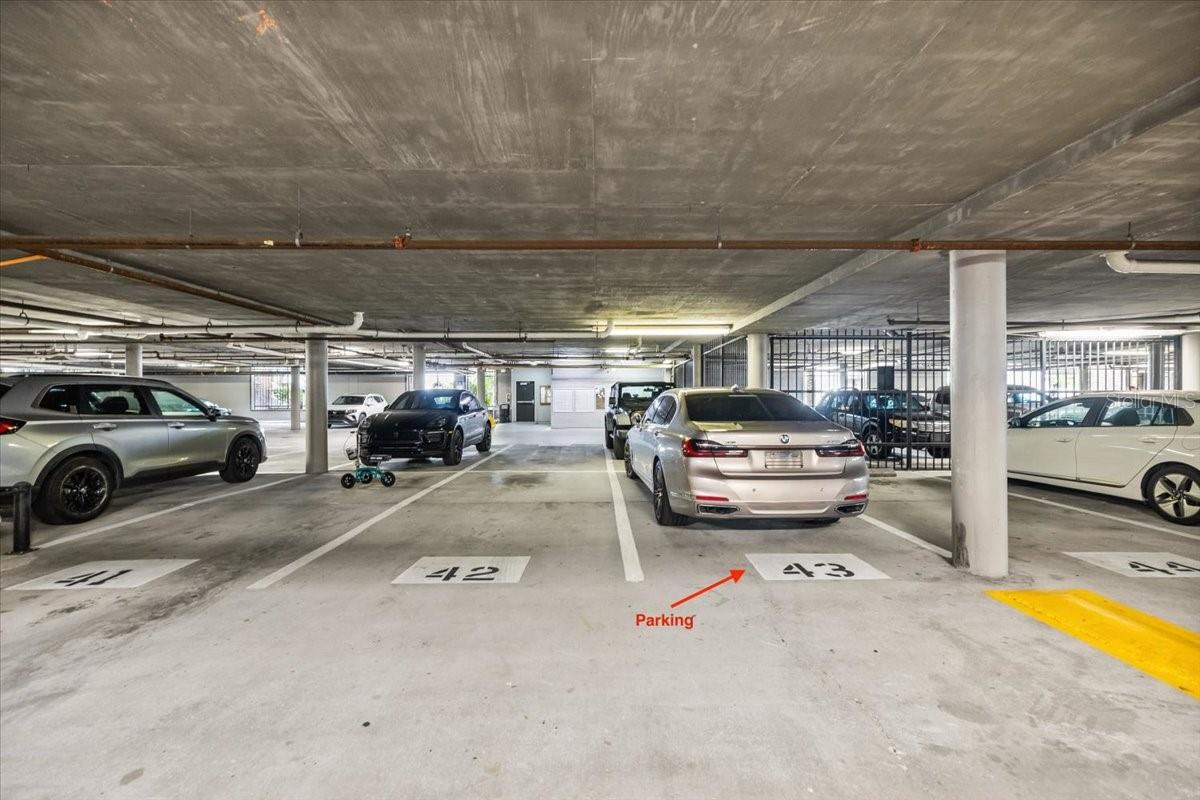 800 S DAKOTA AVE #206, TAMPA, FL, 33606