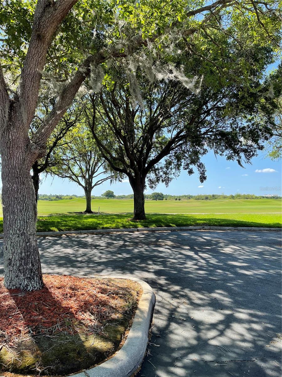 489 ENCLAVE PL #31, LAKELAND, FL, 33803