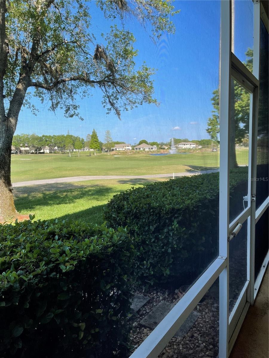 489 ENCLAVE PL #31, LAKELAND, FL, 33803