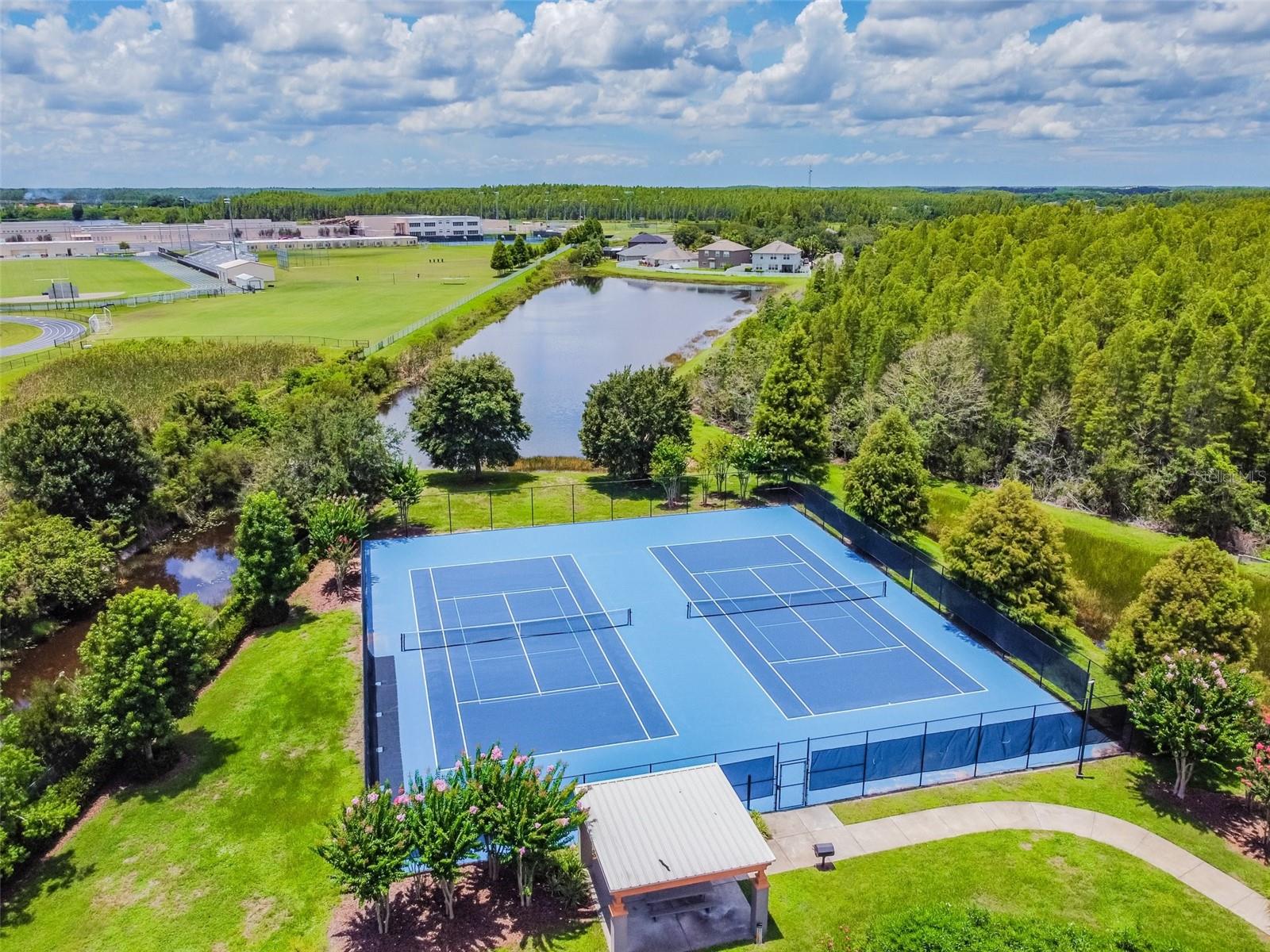 3030 TRINITY COTTAGE DR, LAND O LAKES, FL, 34638