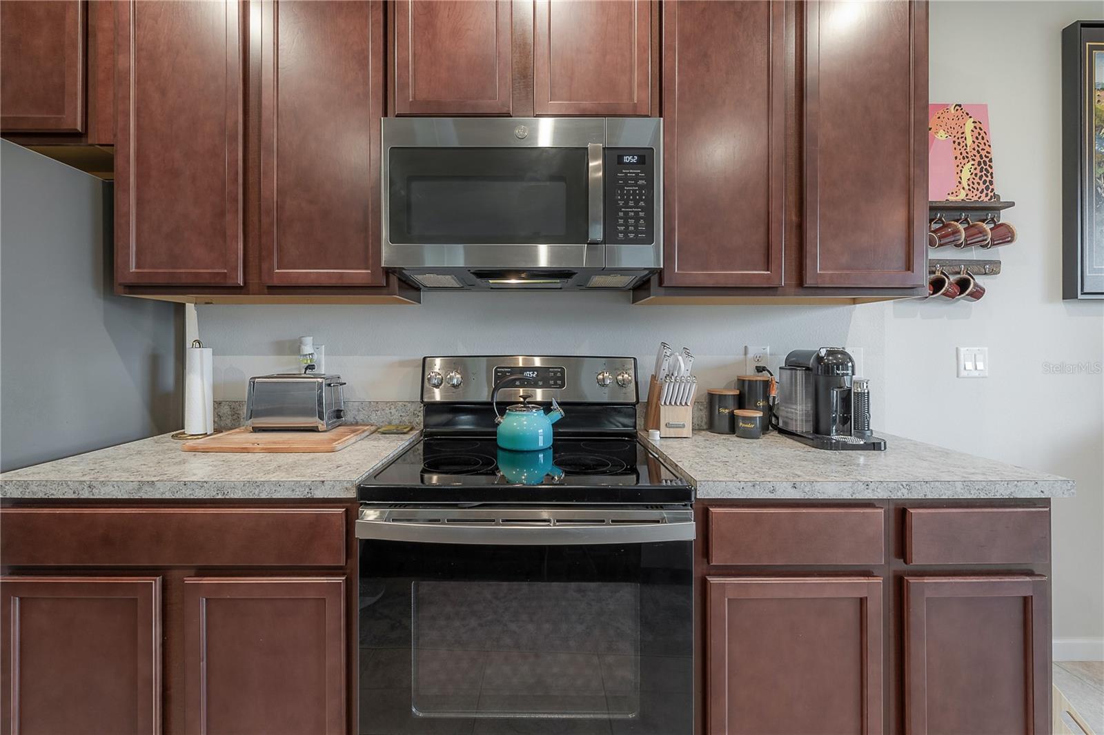 10792 HAWKS LANDING DR, LAND O LAKES, FL, 34638