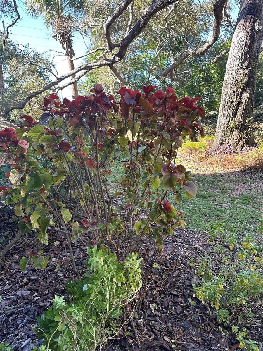 11485 OAKHURST RD #200-114, LARGO, FL, 33774