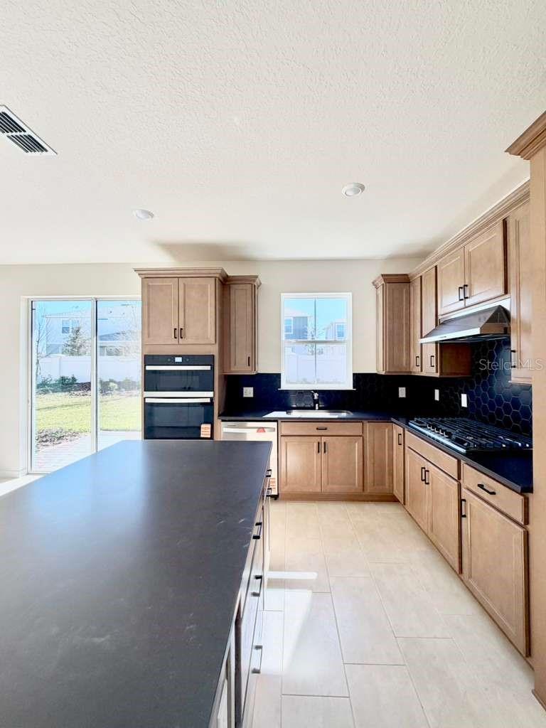 233 WOODFALL LN, WINTER GARDEN, FL, 34787