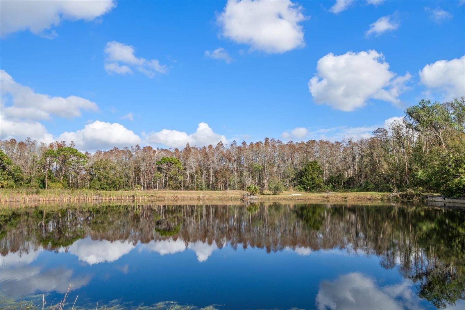 View Overlooking Pond
