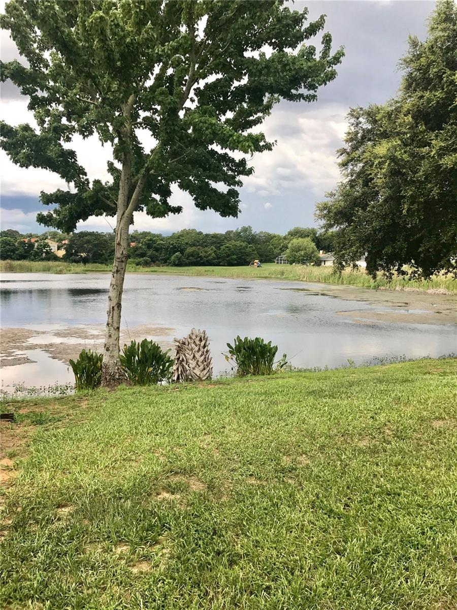 17750 NEAL DR, MONTVERDE, FL, 34756