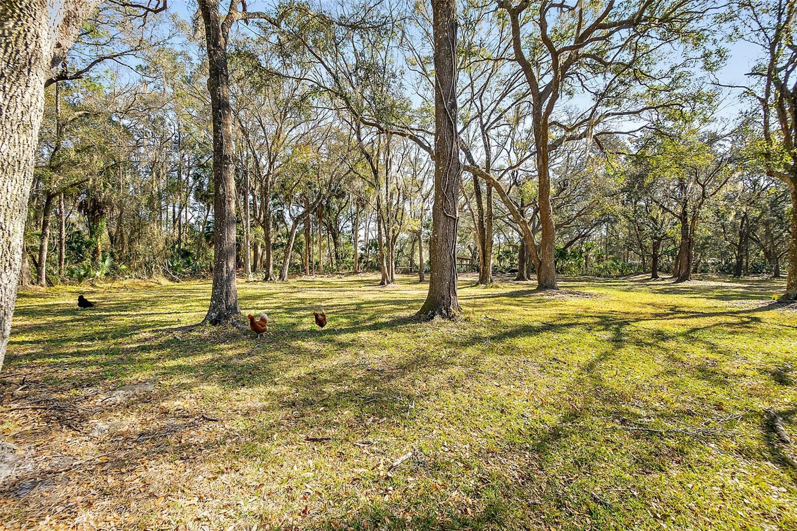 998 COUNTY ROAD 302, BUNNELL, FL, 32110