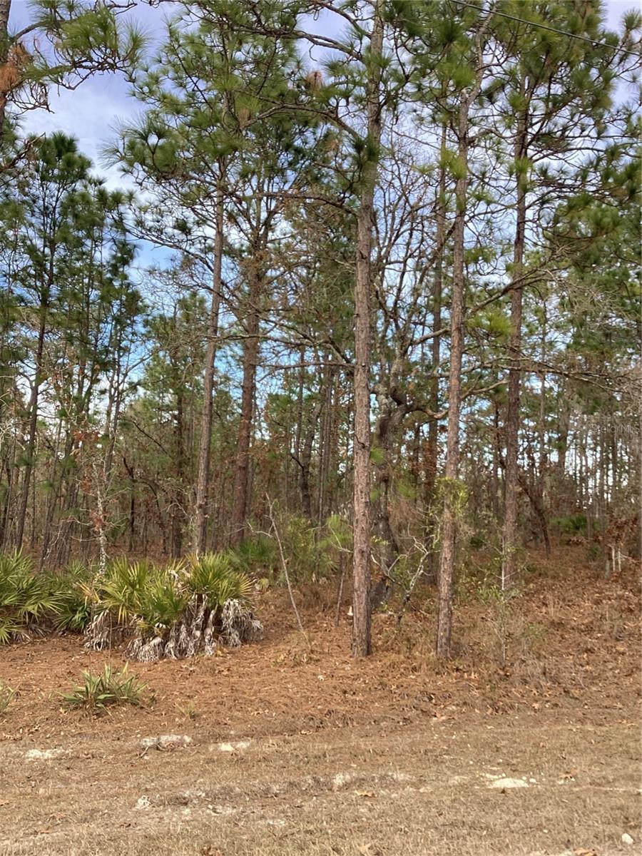 0 CHICKADEE RD, WEEKI WACHEE, FL, 34614