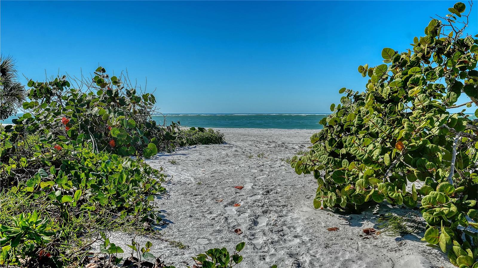 A4680843 Property Photo