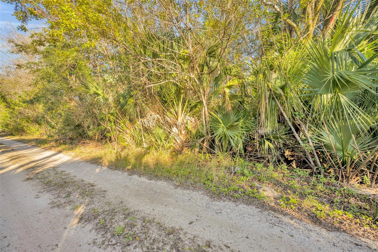 2740 WITHLACOOCHEE PT, GENEVA, FL, 32732