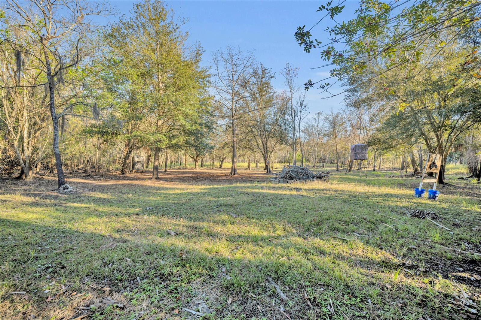 2740 WITHLACOOCHEE PT, GENEVA, FL, 32732