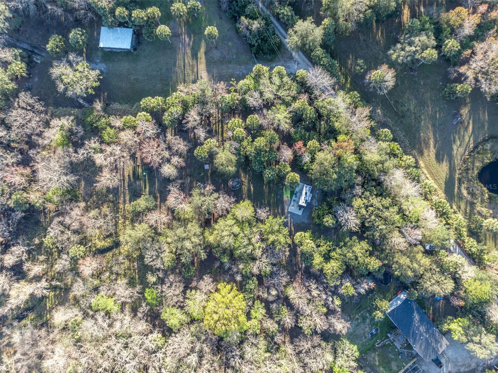 2740 WITHLACOOCHEE PT, GENEVA, FL, 32732