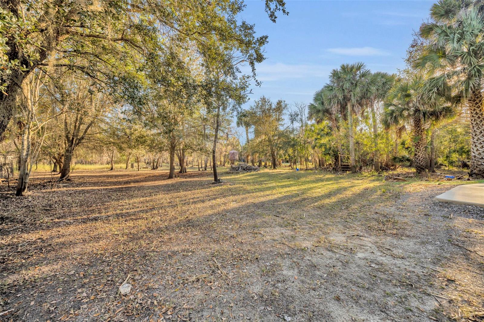 2740 WITHLACOOCHEE PT, GENEVA, FL, 32732